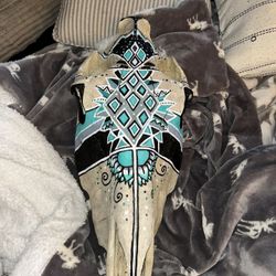 Hand Painted Real Horse Skull-turquoise,black,white and Gray 