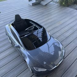 Tesla Model S Radio Flayer