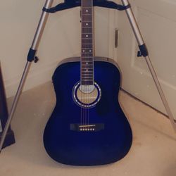 Electric Acoustic 