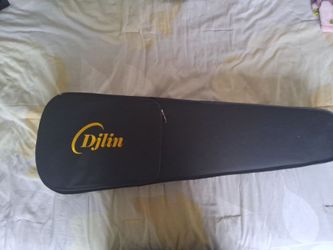 Djlin violen