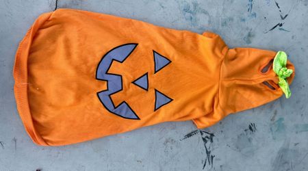Large Halloween Dog Costume