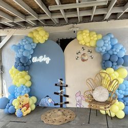 Balloon Backdrop Decorations
