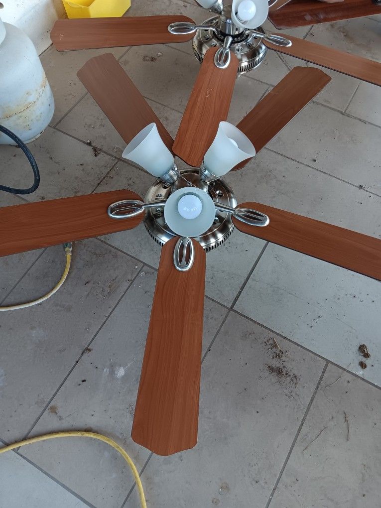 Ceiling Fans