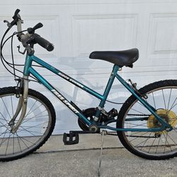 Free Spirit Ridge Runner Bike