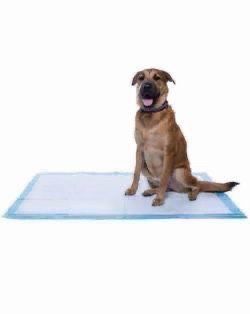 $60 for 100 Pcs Blue Pads Underpads Chux Extra Large Size: 30” x 36” - Each 10 Pcs $6 ( Can Be Use For Messy Painting, In Bathroom, For Pet Training)