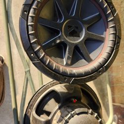 2 12" Kickers