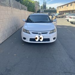 2011 Scion tC