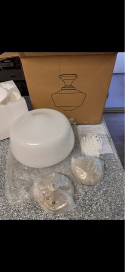 Ceiling Light Fixture with Globe Shade