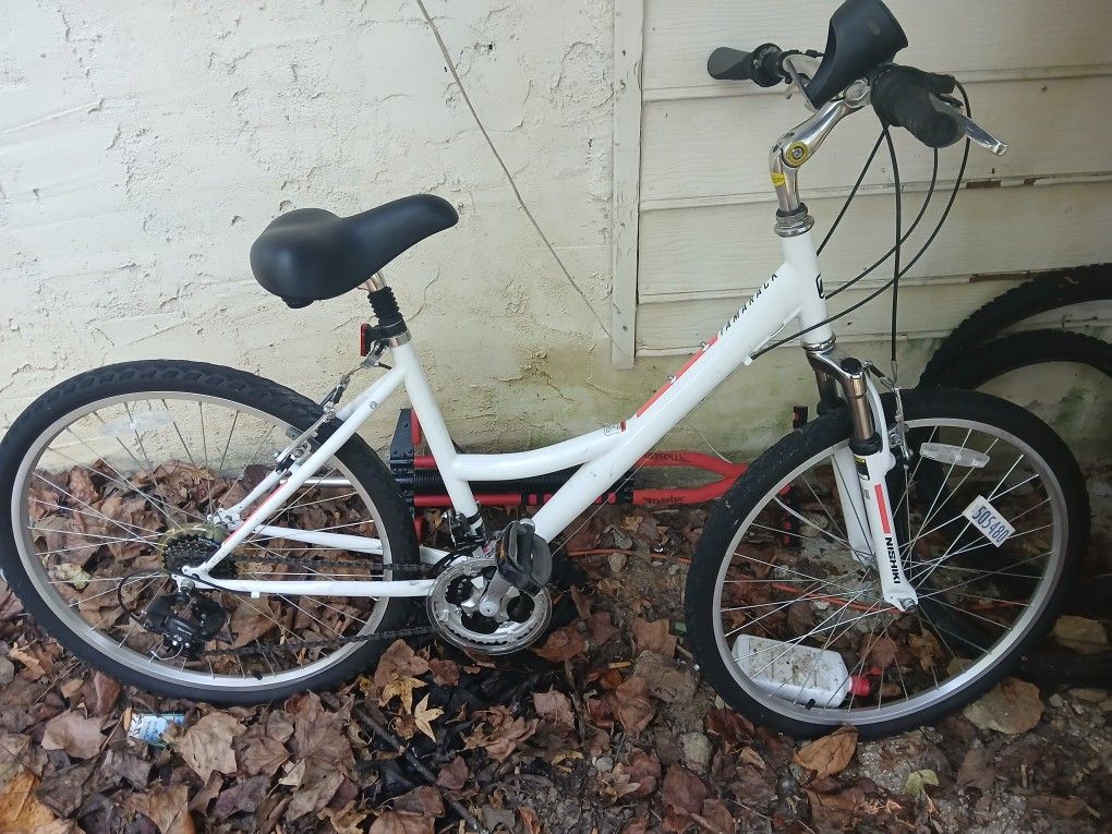 Nishiki Tamarack Comfort Bike