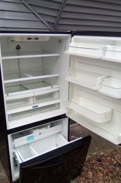 Kenmore Bottom Freezer