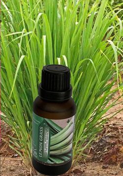 Lemon Grass Essential Oil