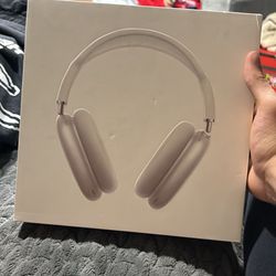 Apple Max Headphones Sliver
