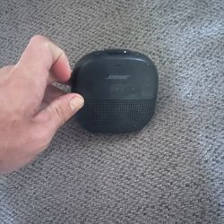 Bose Micro Sound Link 
