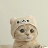 Hsuan