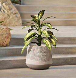 LuxenHome Blended Tan 12" Round Plant Pot, Large Garden Pot for Plants With Drainage Hole and Plug,