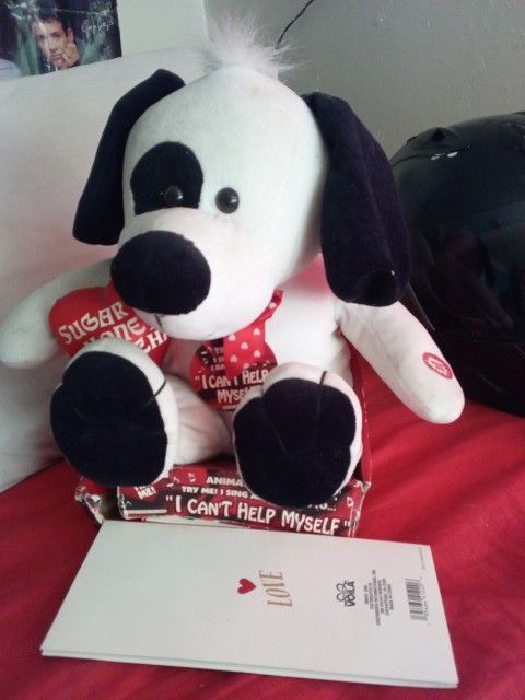 Sing & Dances Dan Dee Sugar Pie Puppy 1991 For Valentine's 1992 Packaging Is Ware And Tare Still New Just Collecting Dust Needs Lil Cleaner 