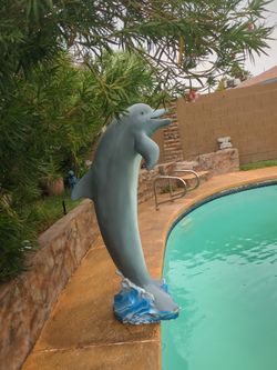 Delfín 🐬 Pool Decorations