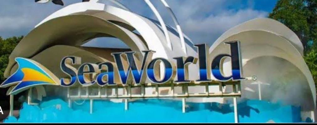 Sea World Tickets