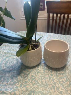 2 Ceramic Glass Pots Whire (plant not Included)