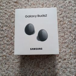 Galaxy Buds2
