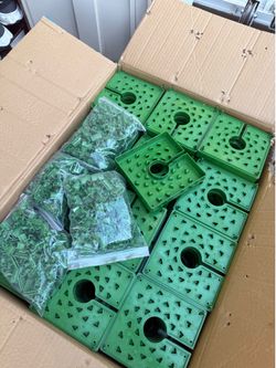 6x6 rockwool irrigation cap