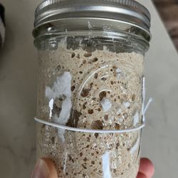 Very Active Sourdough Starter Jar