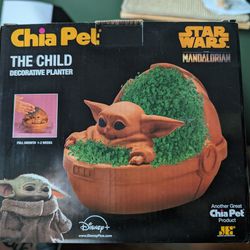 The Child Chia Pet