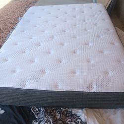 Queen Size Beauty Rest Mattress 
