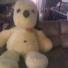 Greg