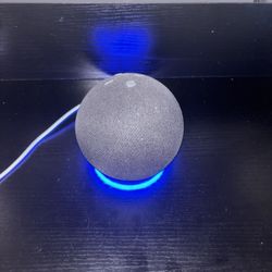 Echo Speaker