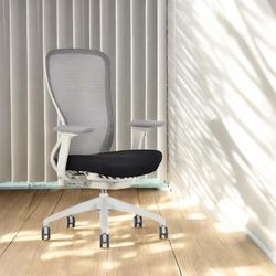 Eurotech Exchange Executive Ergonomic Task Chair (New In Box) – $500 📦 Florida