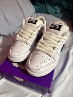 Nike sb low top dunk