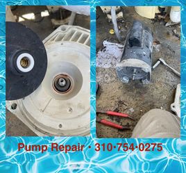 Pool Pump Pool Filter Pool Heater Pool Equipment And More