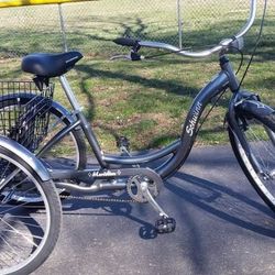 26 Inch Schwinn Adult Tricycle