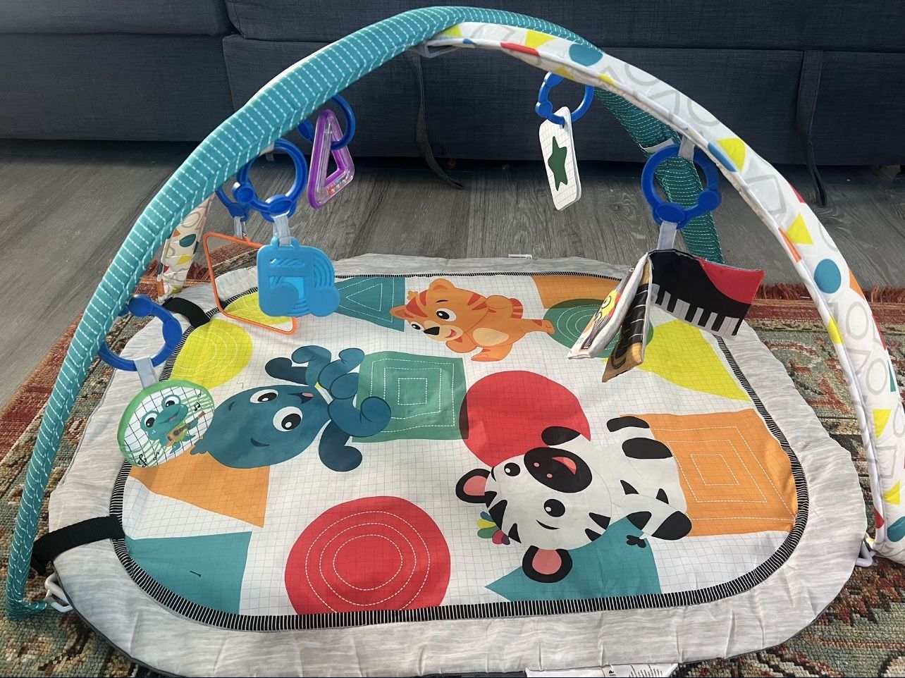 Baby Einstein Play Mat