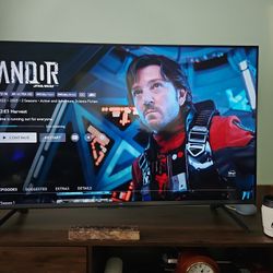 TCL 55" TV Needs To Go!