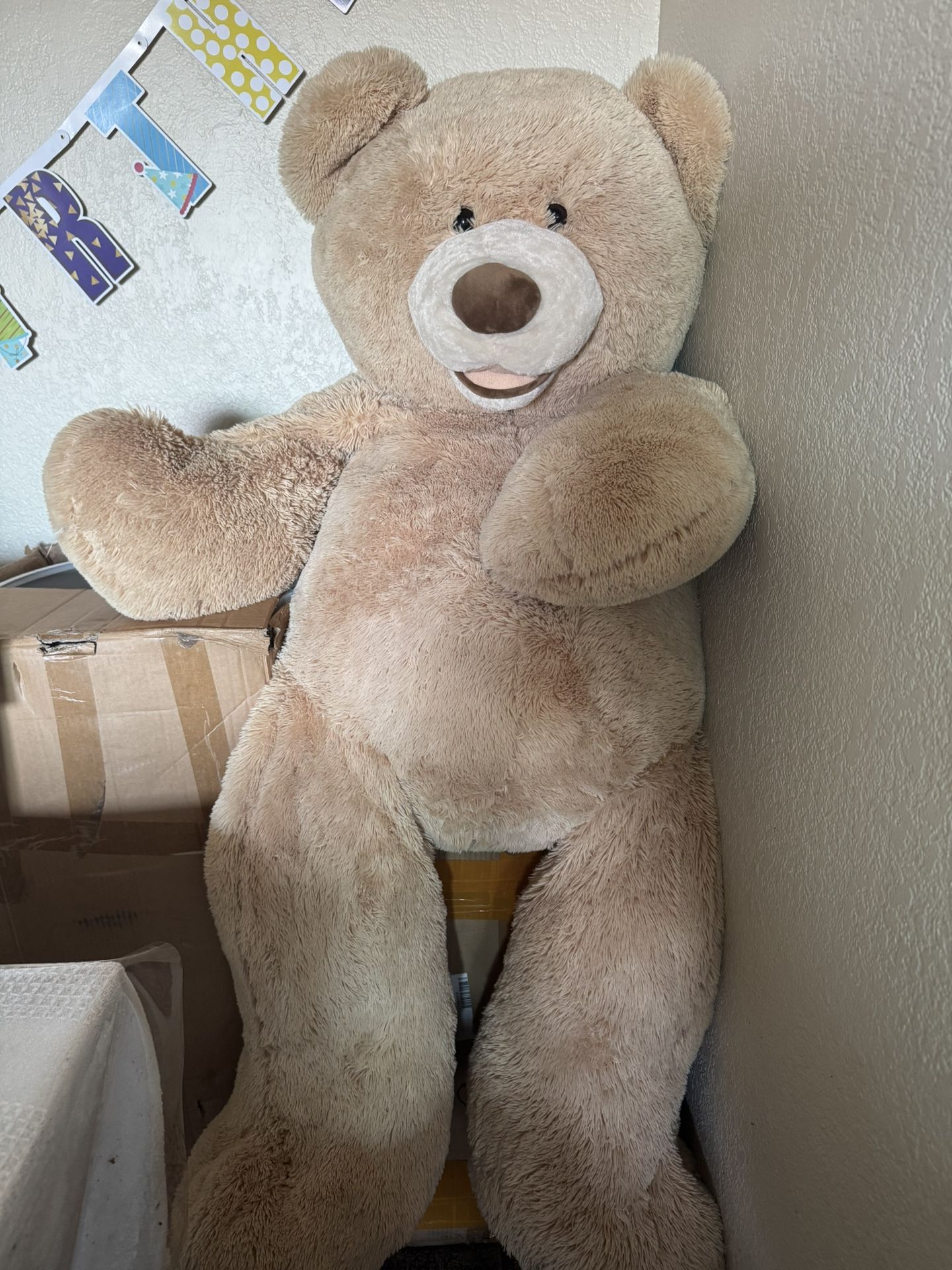 Teddy Bear
