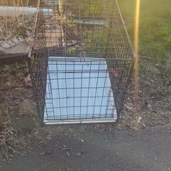 Dog Kennel 