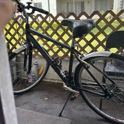 Infinity Shimano bike