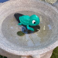 Turtles