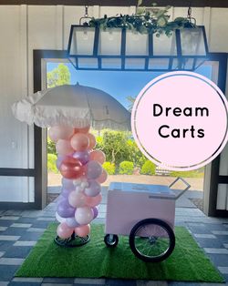 Paleta Cart