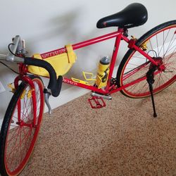 BICICLETA