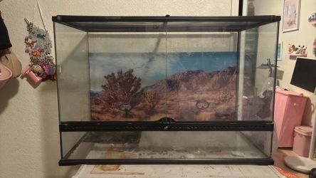 Big and Spacious Glass Tank