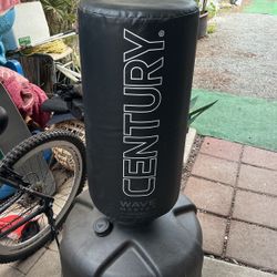 Punching bag