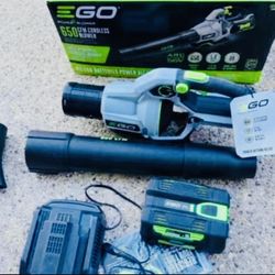 EGO POWER + 56-volt 650-CFM 180-MPH Brushless Handheld Cordless Electric Leaf Blower Battery &charge