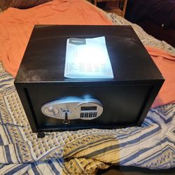 Amazonbasics Home Safe