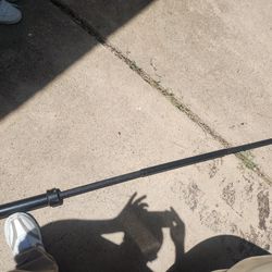 45 Pound Barbell Olympic