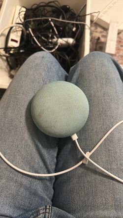 Google home assistant