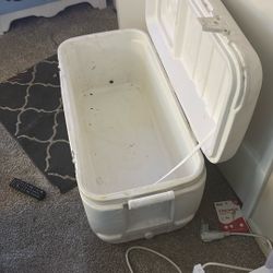 Igloo Cooler