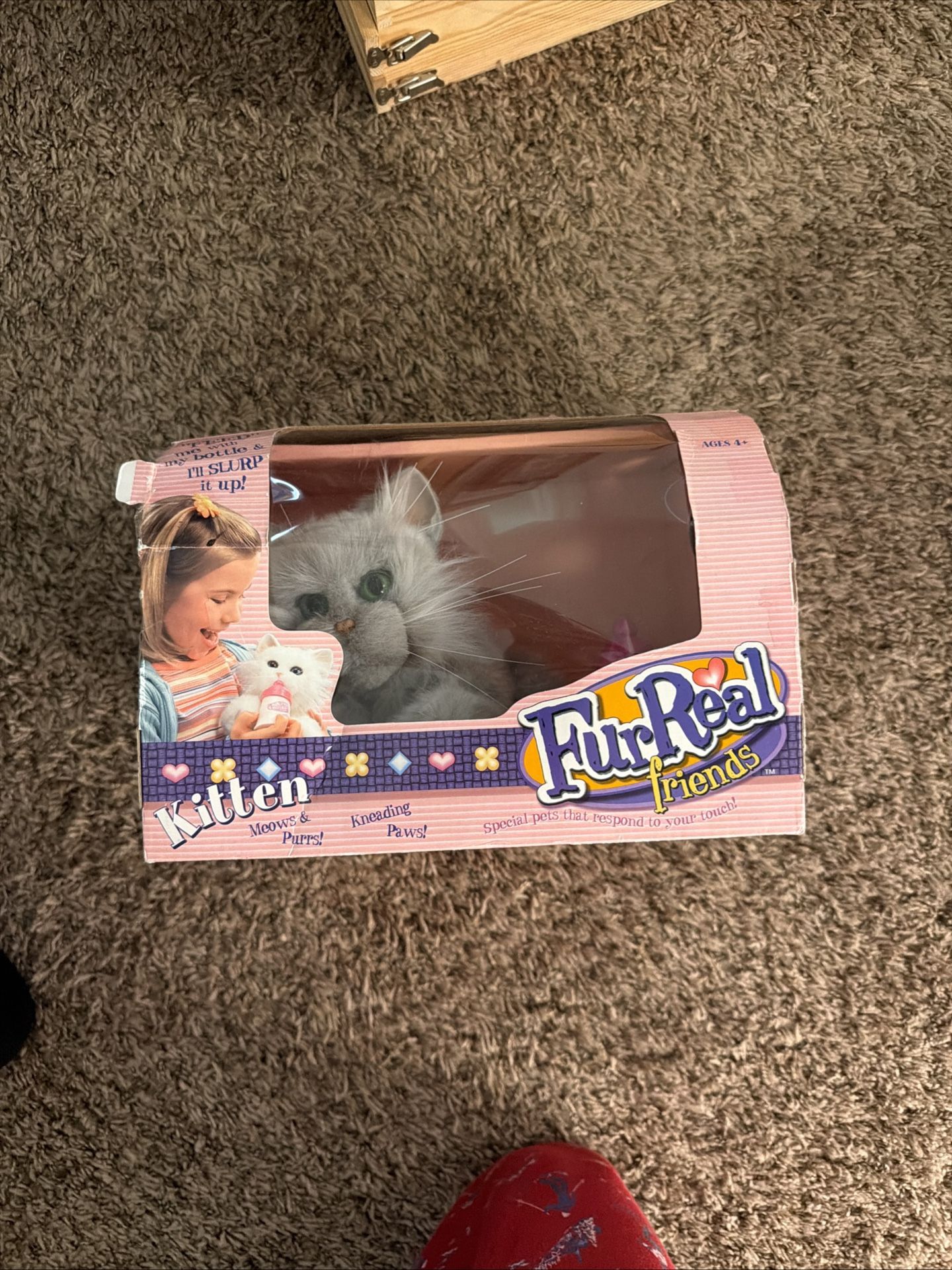 Fur Real Friends Kitten In Box 